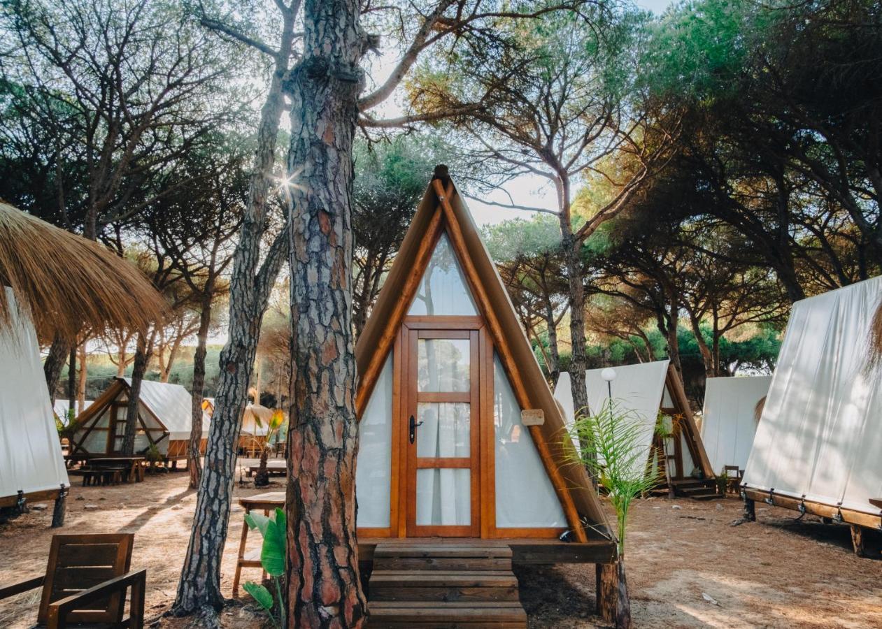 Taiga Conil Hotel Conil De La Frontera Ngoại thất bức ảnh
