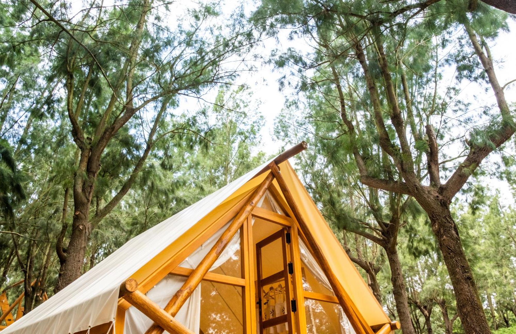 Taiga Conil Hotel Conil De La Frontera Phòng bức ảnh
